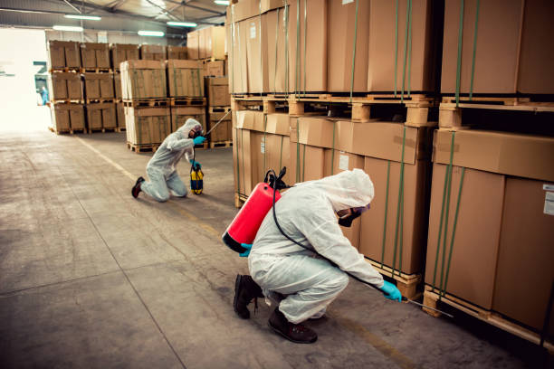 Best Pest Control Treatment  in Marienville, PA