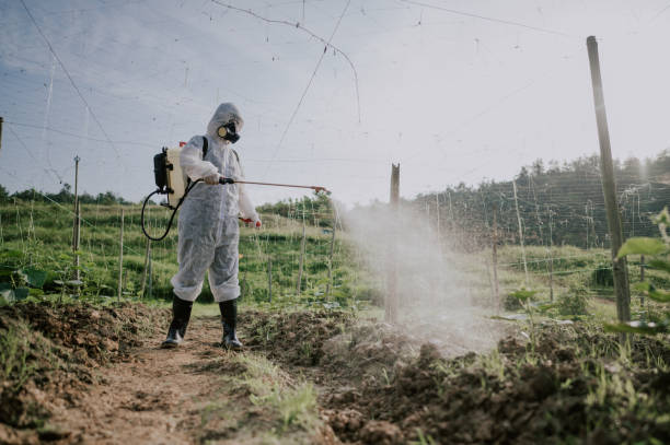 Best Ant Control Services  in Marienville, PA