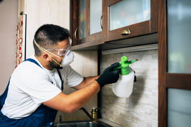  Marienville, PA Pest Control Pros