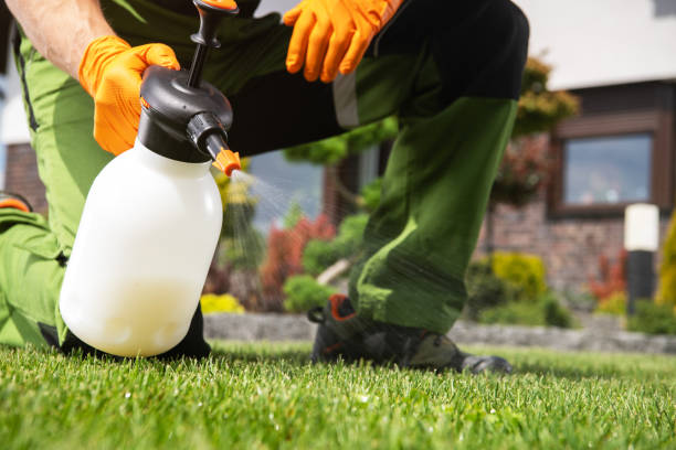 Best Best Pest Control Companies  in Marienville, PA