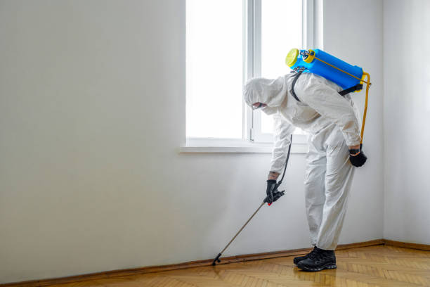 Best Bed Bug Extermination  in Marienville, PA