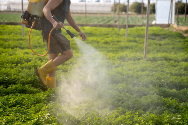Pest Control Cost in Marienville, PA
