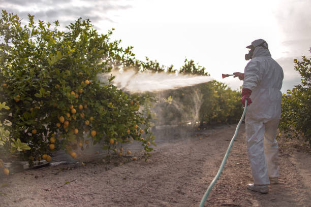 Best Pest Inspection Near Me  in Marienville, PA