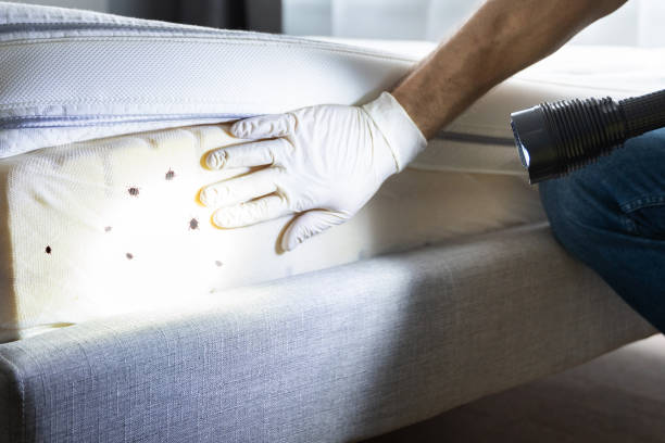 Pest Control for Restaurants in Marienville, PA