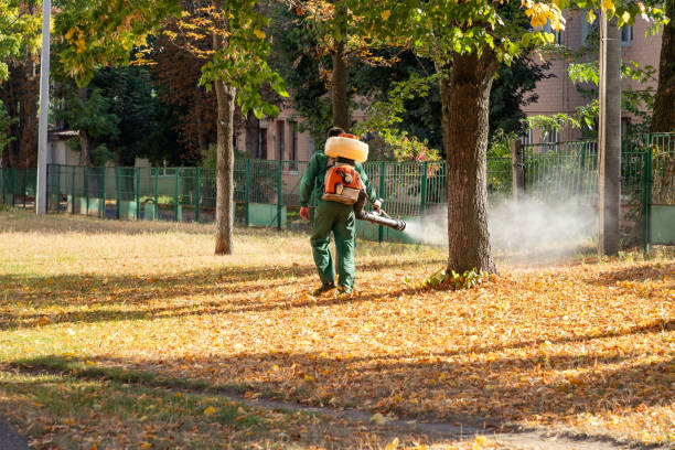 Best Mosquito Control Services  in Marienville, PA
