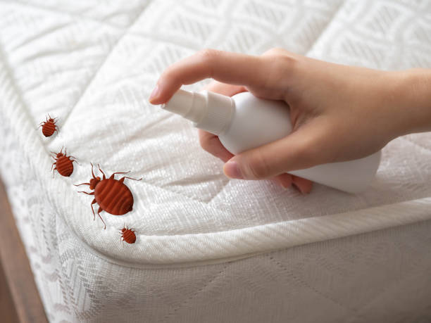 Best Mosquito Control Services  in Marienville, PA